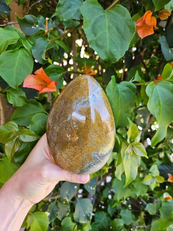 Sea Jasper Freeform