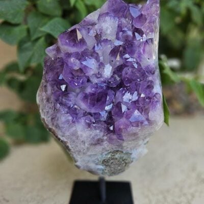 Large Amethyst Cluster on Iron Stand: Statement Crystal Decor, Quality Crystals, Purple Home Decor
