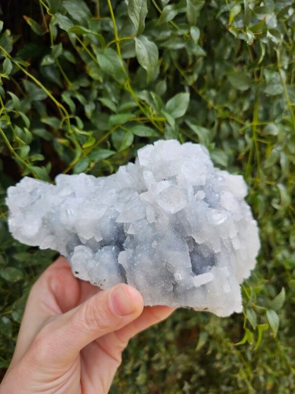 Blue Chalcedony Apophyllite Cluster: Raw Crystal from India, Quality Crystals - Image 3