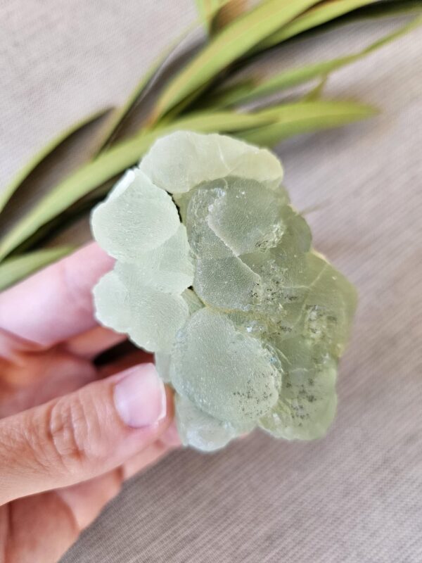 Green Apple Prehnite Specimen - Image 6