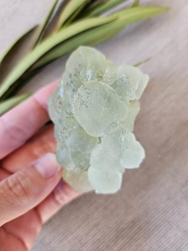 Green Apple Prehnite Specimen - Image 8