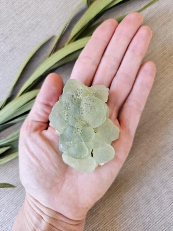 Green Apple Prehnite Specimen - Image 10