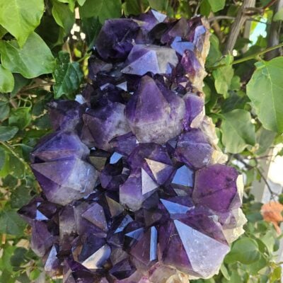 WOW! 14 LB XL Congo Amethyst Cluster