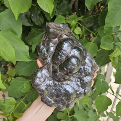 Wow! 9 LB XL Raw Hematite Cluster