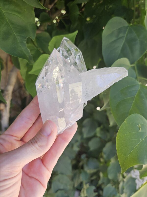 Minas Gerais Clear Quartz Crystal - Image 4