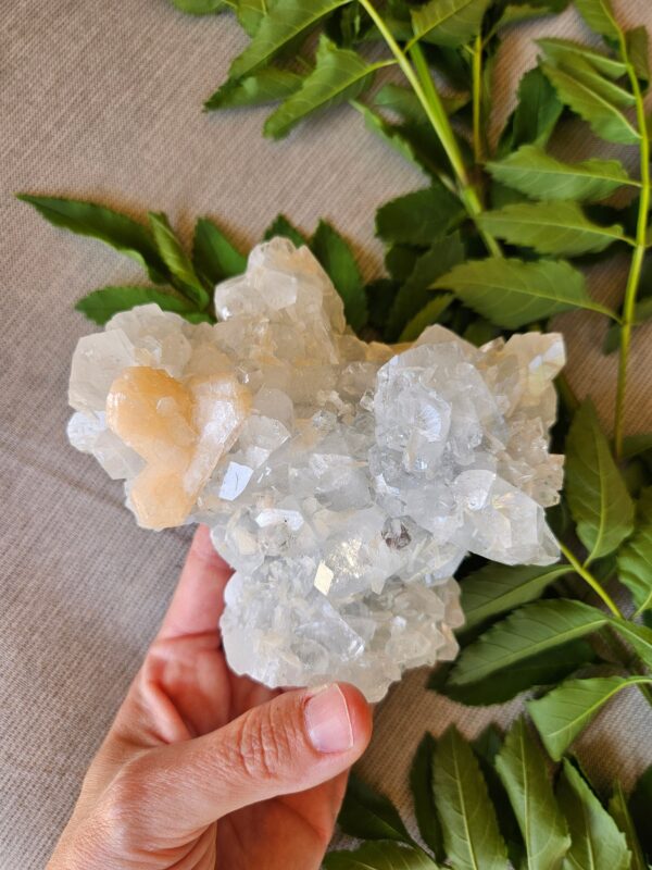 Large Apophyllite Crystal Cluster with Peach Stilbite: Quality Indian Crystals - Image 3