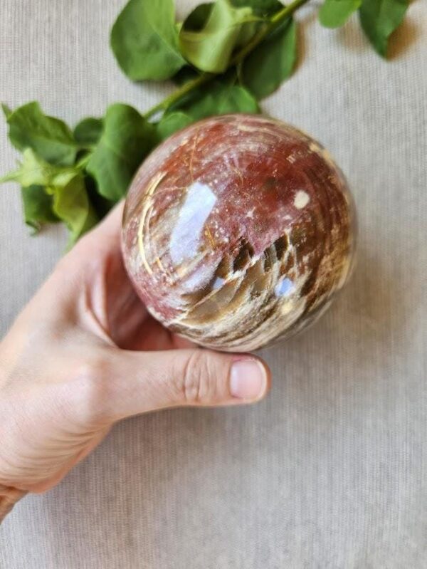 Polished Petrified Wood Sphere: Madagascar Crystal Fossil, Grounding, Quality Crystals - Image 2