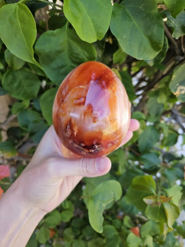 Polished Carnelian Egg: Sacral Chakra Crystal, Madagascar - Image 6