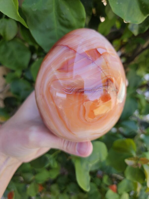 Polished Carnelian Egg: Sacral Chakra Crystal, Madagascar - Image 10