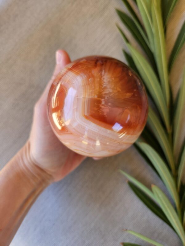 Polished Carnelian Egg: Sacral Chakra Crystal, Madagascar - Image 2