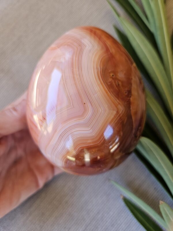 Polished Carnelian Egg: Sacral Chakra Crystal, Madagascar - Image 3