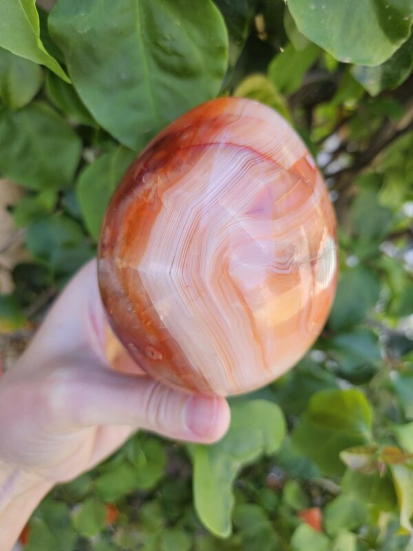 Polished Carnelian Egg: Sacral Chakra Crystal, Madagascar - Image 7