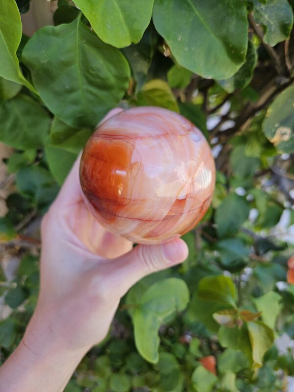 Polished Carnelian Egg: Sacral Chakra Crystal, Madagascar - Image 9