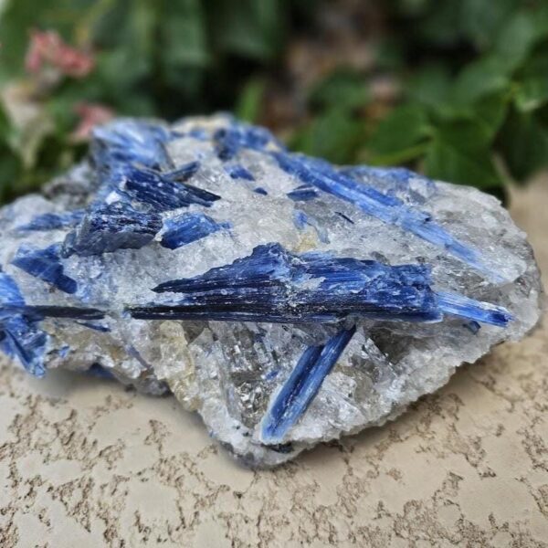 Wow! 10 LB Large Blue Kyanite in Quartz Crystal