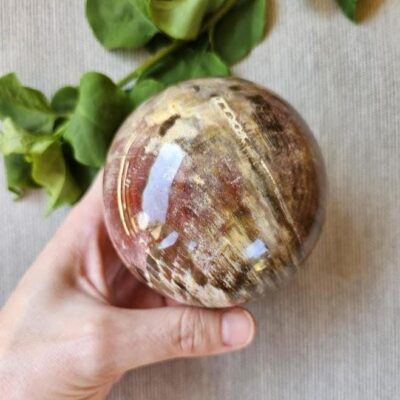 Polished Petrified Wood Sphere: Madagascar Crystal Fossil, Grounding, Quality Crystals