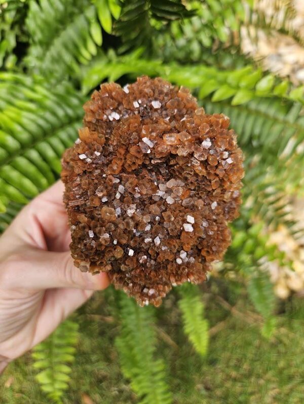 Quality Aragonite Cluster - Image 5
