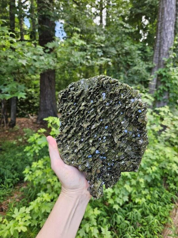 XL Forest Quartz Crystal Cluster: Raw Epidote & Clear Quartz, 8.5", Quality Crystals - Image 9