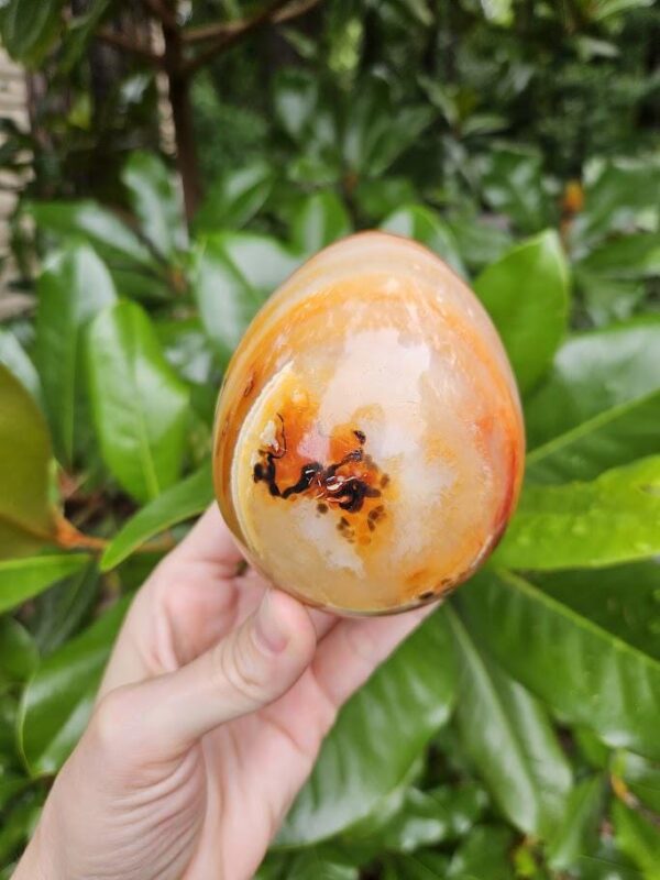 Polished Carnelian Egg: Sacral Chakra Crystal, Madagascar - Image 5