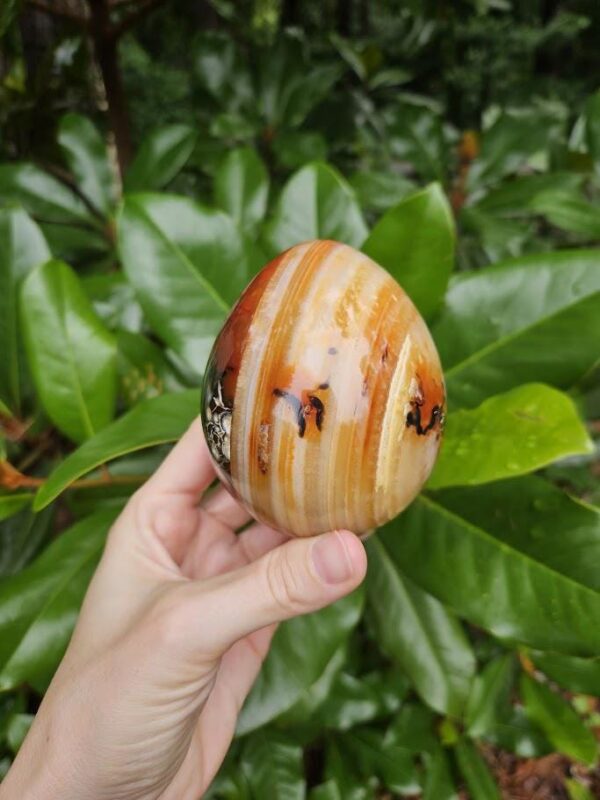 Polished Carnelian Egg: Sacral Chakra Crystal, Madagascar - Image 7
