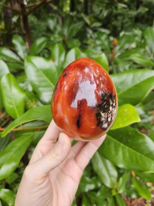 Polished Carnelian Egg: Sacral Chakra Crystal, Madagascar - Image 9