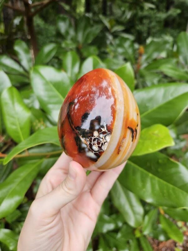 Polished Carnelian Egg: Sacral Chakra Crystal, Madagascar - Image 8
