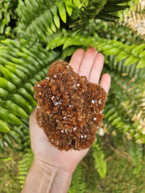 Quality Aragonite Cluster - Image 4