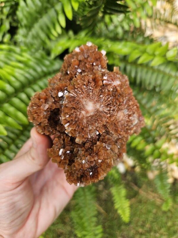 Quality Aragonite Cluster - Image 8