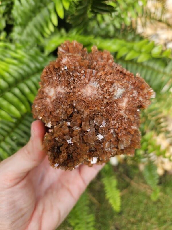 Quality Aragonite Cluster - Image 7