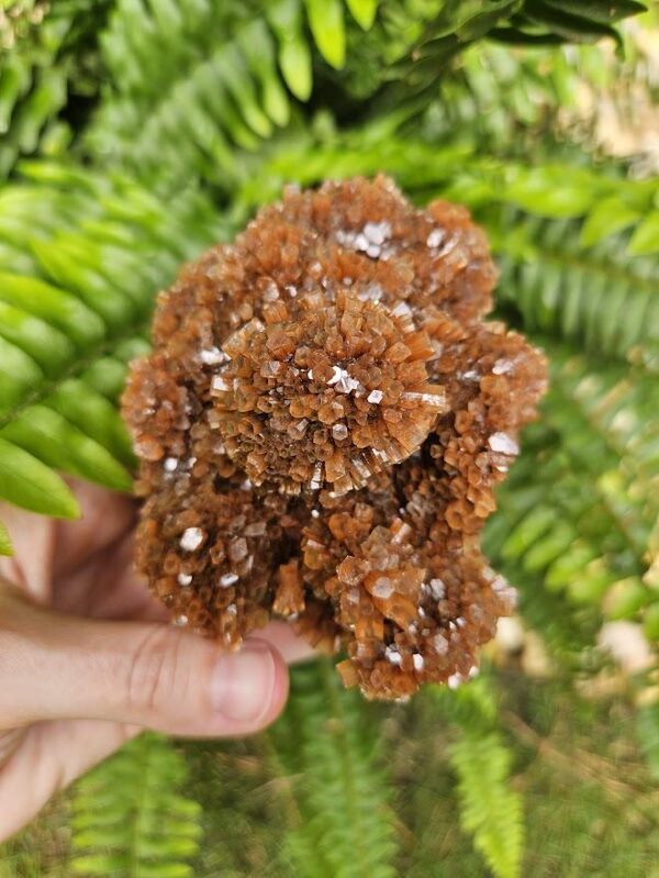 Quality Aragonite Cluster - Image 3