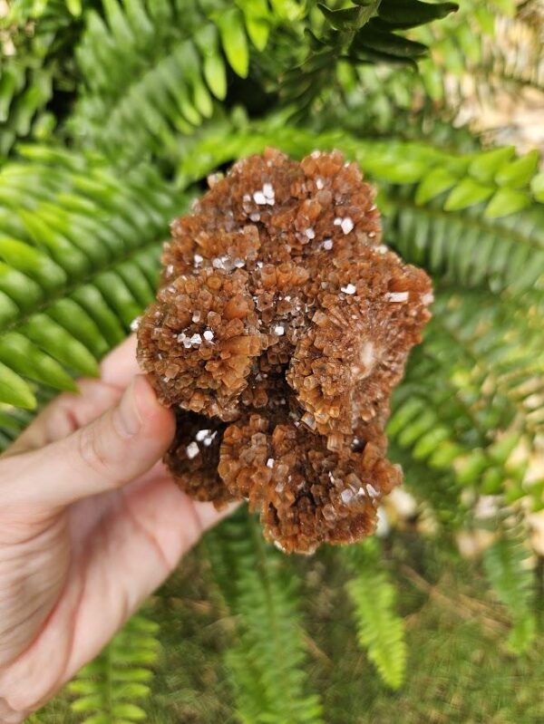 Quality Aragonite Cluster - Image 9