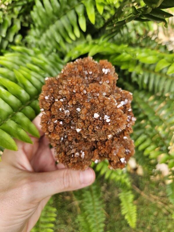 Quality Aragonite Cluster - Image 10