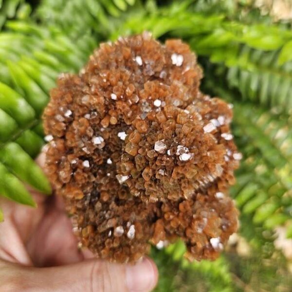 Quality Aragonite Cluster - Image 2