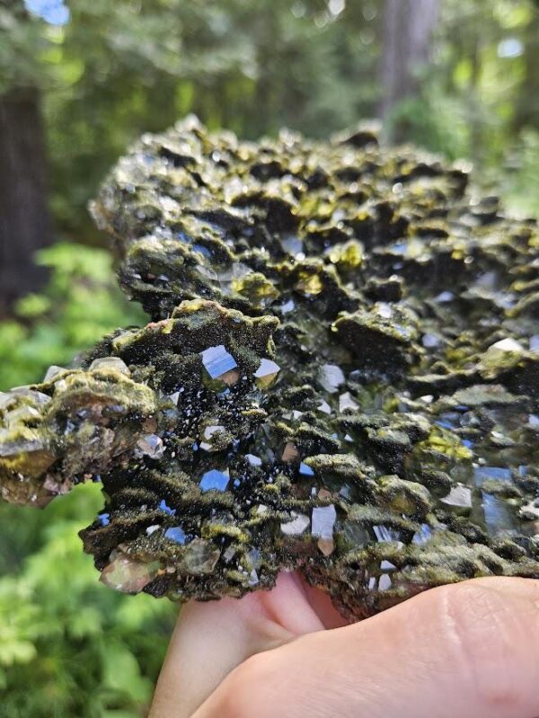 XL Forest Quartz Crystal Cluster: Raw Epidote & Clear Quartz, 8.5", Quality Crystals - Image 4