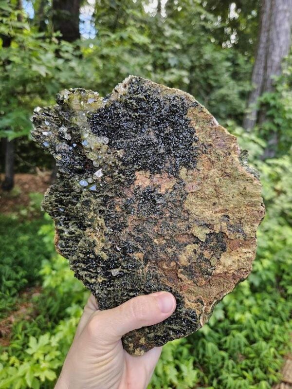 XL Forest Quartz Crystal Cluster: Raw Epidote & Clear Quartz, 8.5", Quality Crystals - Image 10