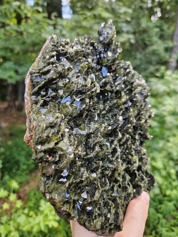 XL Forest Quartz Crystal Cluster: Raw Epidote & Clear Quartz, 8.5", Quality Crystals - Image 6
