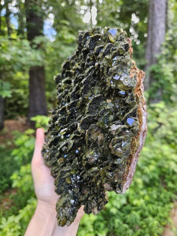 XL Forest Quartz Crystal Cluster: Raw Epidote & Clear Quartz, 8.5", Quality Crystals - Image 3