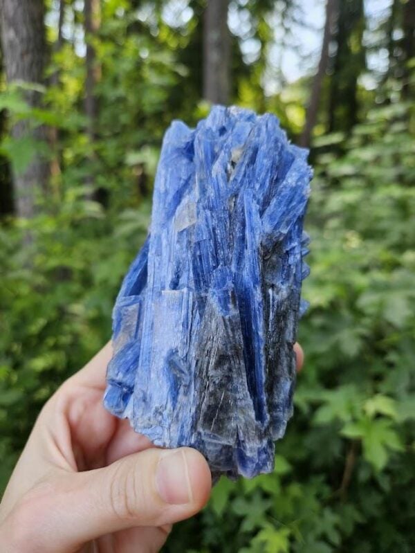 Raw Blue Kyanite in Quartz Specimen: Natural Crystal Cluster - Image 6