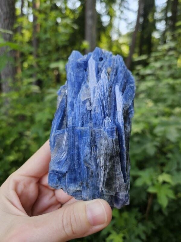Raw Blue Kyanite in Quartz Specimen: Natural Crystal Cluster - Image 7