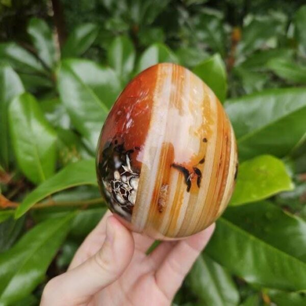 Polished Carnelian Egg: Sacral Chakra Crystal, Madagascar - Image 2