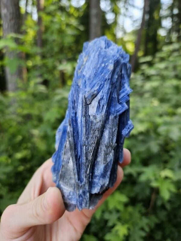 Raw Blue Kyanite in Quartz Specimen: Natural Crystal Cluster - Image 5