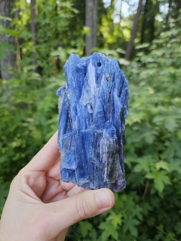 Raw Blue Kyanite in Quartz Specimen: Natural Crystal Cluster - Image 8