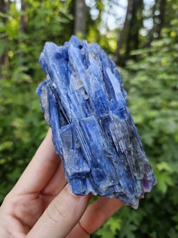 Raw Blue Kyanite in Quartz Specimen: Natural Crystal Cluster - Image 2