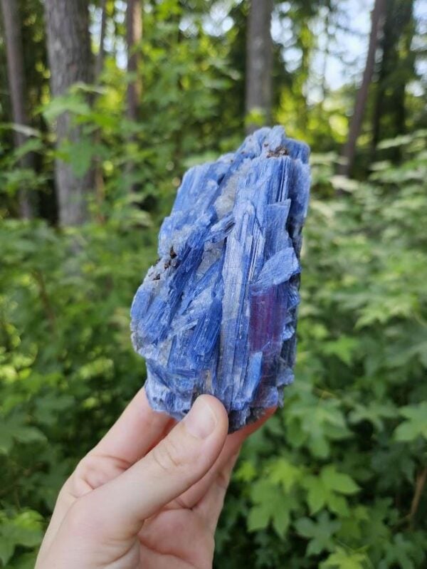 Raw Blue Kyanite in Quartz Specimen: Natural Crystal Cluster - Image 4