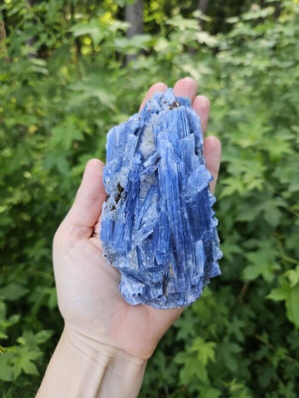 Raw Blue Kyanite in Quartz Specimen: Natural Crystal Cluster - Image 3