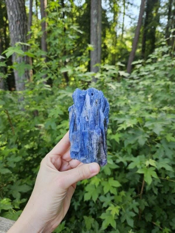 Raw Blue Kyanite in Quartz Specimen: Natural Crystal Cluster - Image 9