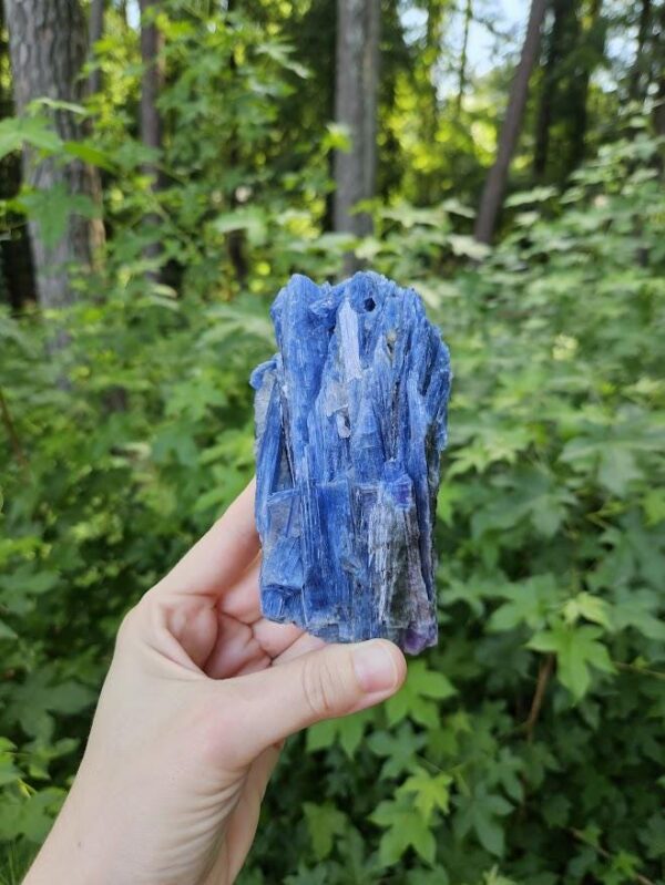 Raw Blue Kyanite in Quartz Specimen: Natural Crystal Cluster - Image 10
