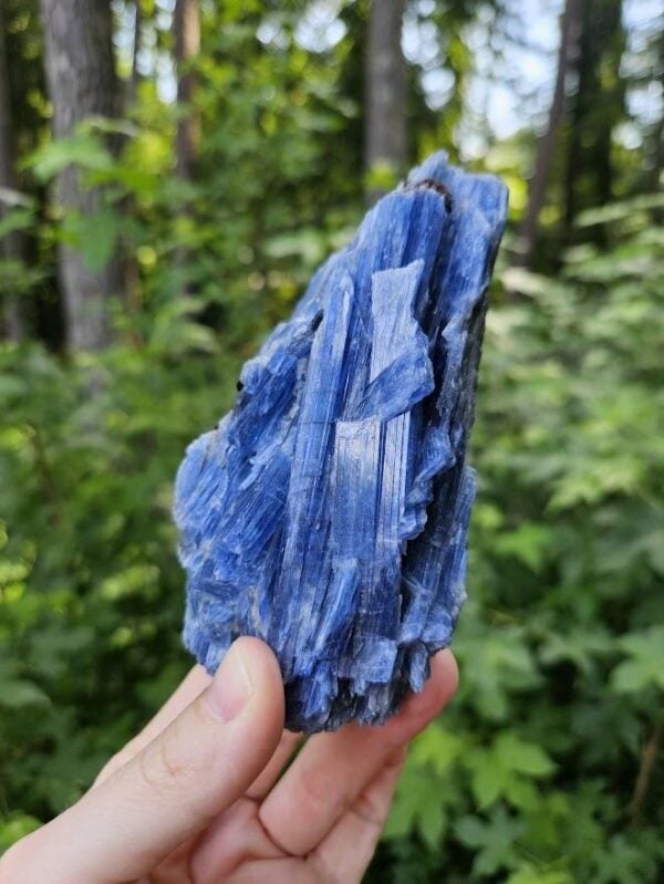 Raw Blue Kyanite in Quartz Specimen: Natural Crystal Cluster