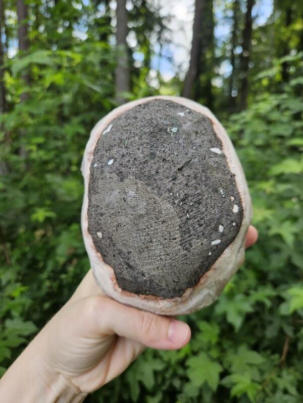 Rare! Quality Peach Stilbite Apophyllite Crystal Cluster: Raw Red Hematite Crystal, Nashik, India - Image 10