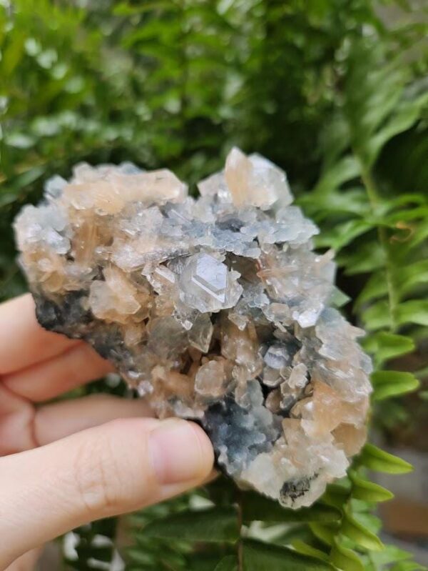 Quality Apophyllite Crystal Cluster: Peach Stilbite & Blue Chalcedony, Nashik, India - Image 8