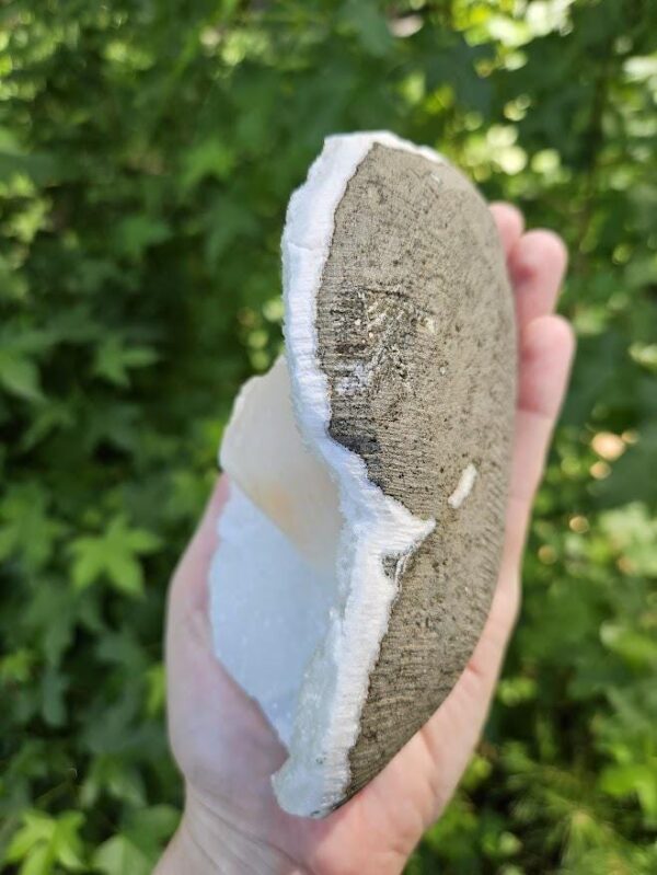 Quality White Chalcedony & Peach Stilbite Specimen: Collector's Crystal - Image 5